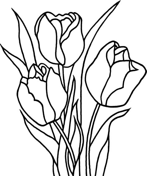 Free Printable Tulip Coloring Pages For Kids