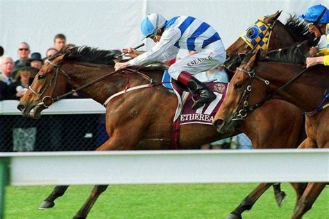 Melbourne Cup Winners, Caulfield Cup, Filly, Horse Racing, Ethereal, Horses, Classic, Animals, Derby