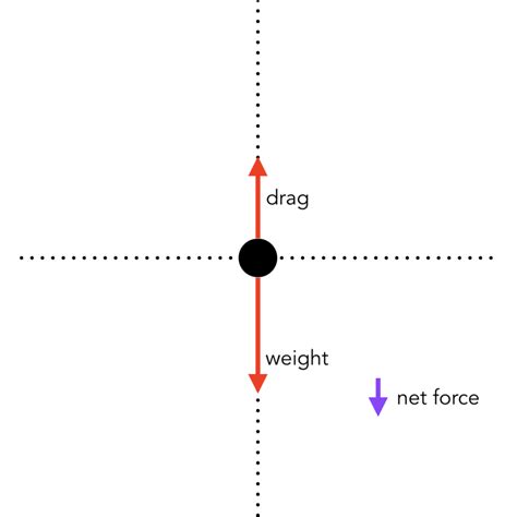 Everything You Need to Know About Force & Motion – Little Shop of Physics | CSU