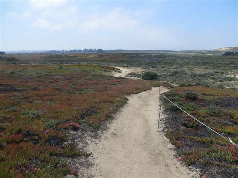 Fort Ord Dunes State Park Beach, Marina, CA - California Beaches