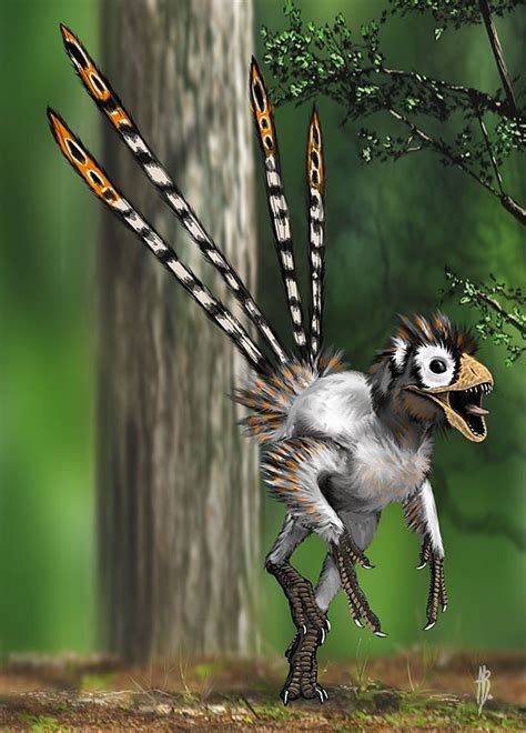 Epidexipteryx Pictures & Facts - The Dinosaur Database