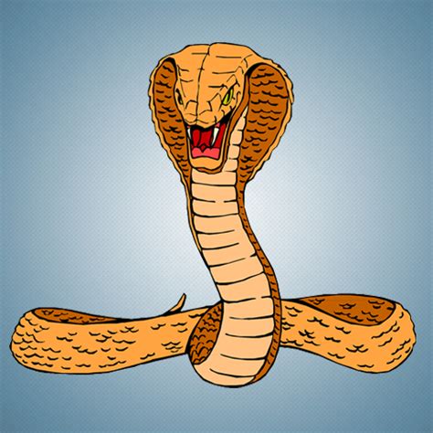 Snake Sounds & Snake Hissing:Amazon.ca:Appstore for Android