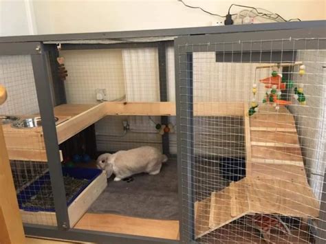 IN / OUTDOOR GUINEA PIG / RABBIT ENCLOSURE | Rabbit Hutch World