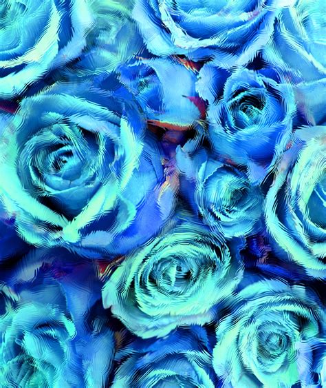 Frosted Blue Roses Free Stock Photo - Public Domain Pictures