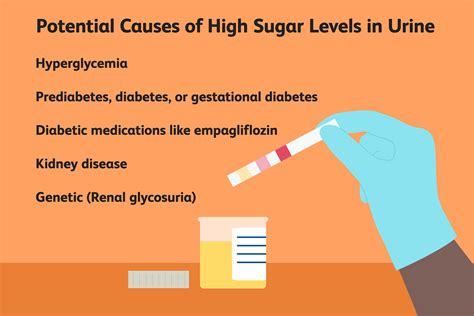 High Levels of Sugar in Urine: Causes and Treatments