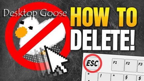 How to remove Desktop Goose “virus” from Mac - MacSecurity