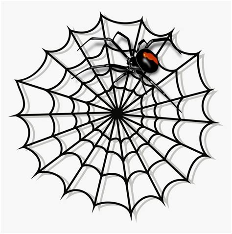 Spiderman Web Pics / Spider Man Web Wallpapers Top Free Spider Man Web ...