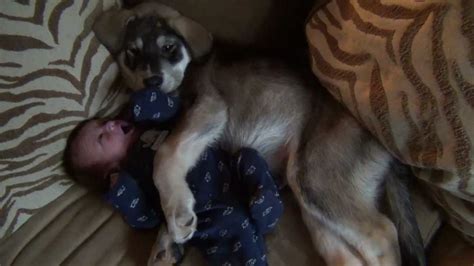 Baby and Puppy cuddling - YouTube