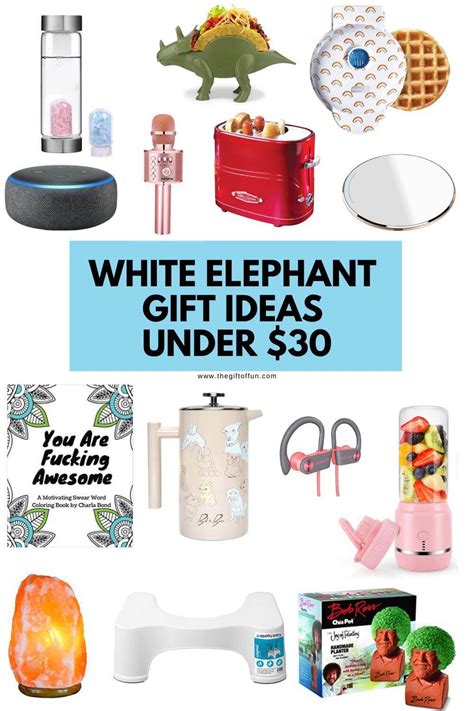 White Elephant Gift Ideas Under $30 - The Gift of Fun