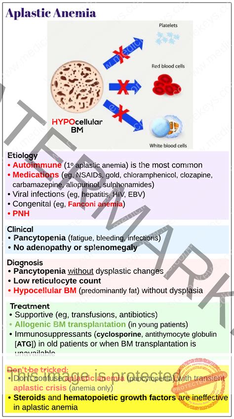 Aplastic anemia - Medicine Keys for MRCPs