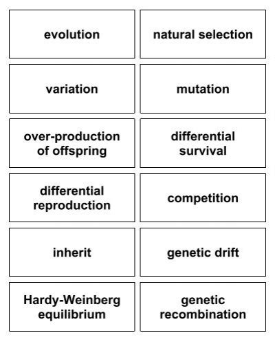 Evolution Concept Map - Explore Biology