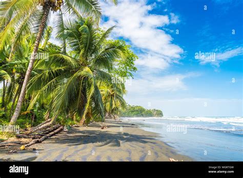 Cahuita caribbean coast hi-res stock photography and images - Alamy