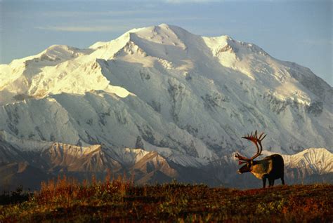 Denali National Park and Preserve - MapQuest Travel