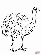 Emu Coloring Page At GetColoringscom  Free Printable Colorings Pages sketch template