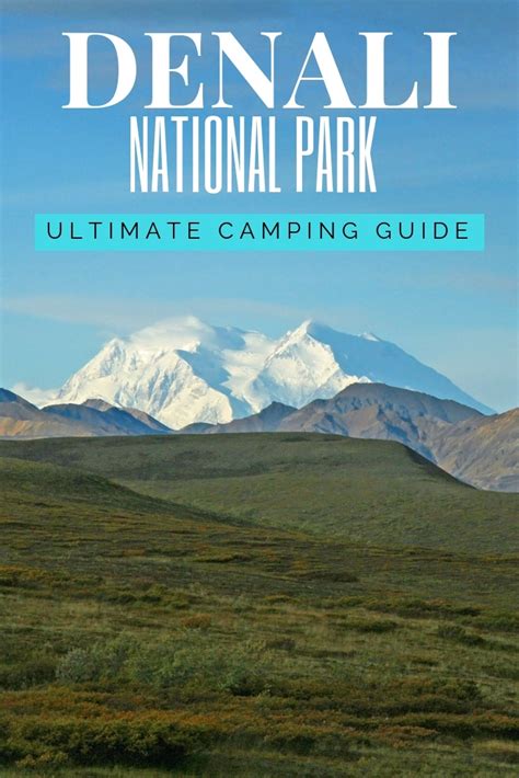 Denali National Park Camping: The Definitive Guide To Camping In Denali ...