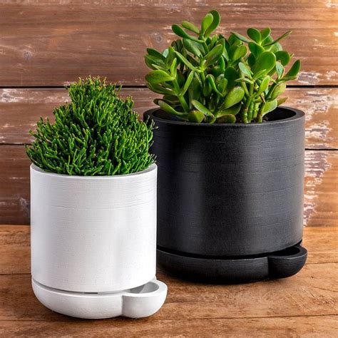 12 Best Self-Watering Planters for Your Home Garden