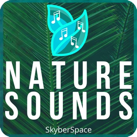 Nature Sounds Meditation Relax - Apps on Google Play