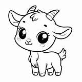 Cute Goat Coloring Page  4 Free Printable Pages sketch template
