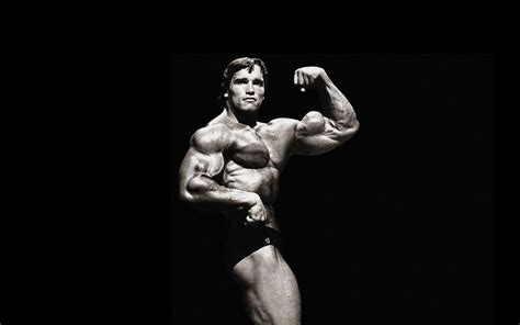 Arnold Schwarzenegger Wallpaper HD