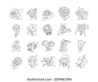 536 Mogra flower Images, Stock Photos & Vectors | Shutterstock