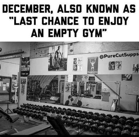 65 Gym Memes Offering Fitness Motivation in 2020