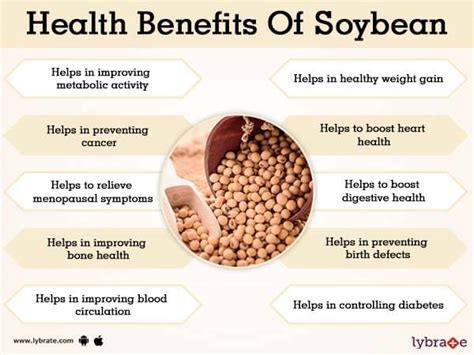 Benefits of Soybean And Its Side Effects | Lybrate