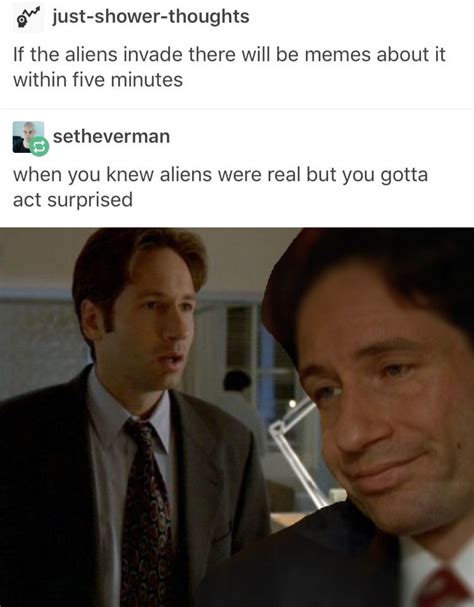 Tumblr always comes through X-Files.... Mulder always knew. | X files funny, X files, Tumblr funny