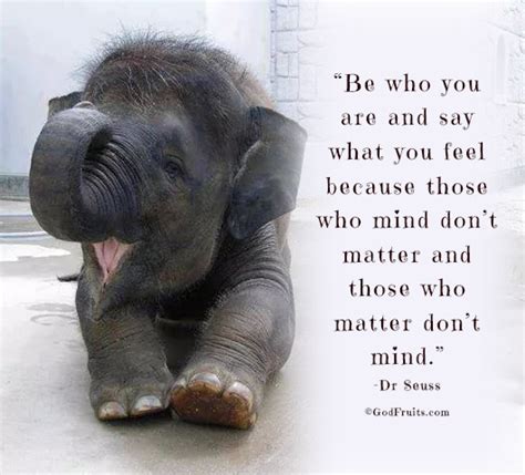 Andrea Elson on Twitter | Elephant quotes, Funny elephant, Elephant love