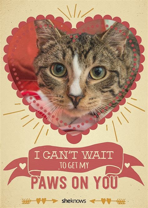 12 Love Filled Cat Cards For a Purrfect Valentine's Day | Valentines day cat, Cat cards, Cat ...