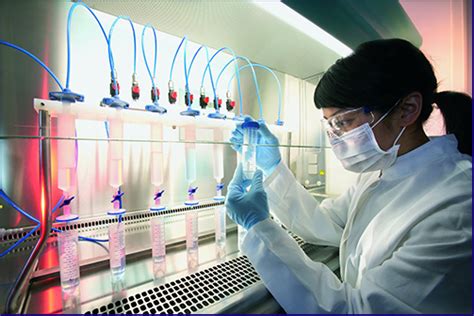 Biotechnologist - Career Advice - Research and Development - On The Job