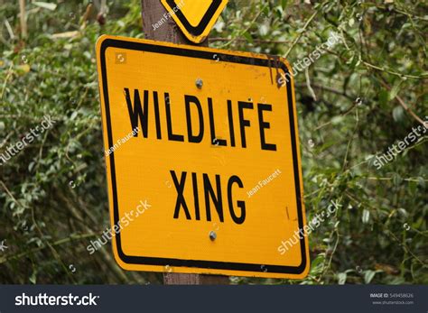 Wildlife Crossing Sign Stock Photo 549458626 : Shutterstock