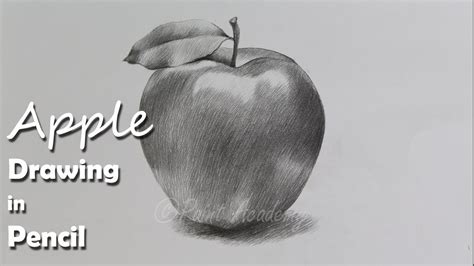 How to Draw An Apple in Pencil | step by step how to use pencil strokes | Artist : Supriyo - YouTube