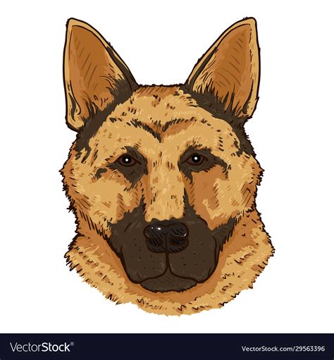 Cartoon german shepherd dog face front view Vector Image