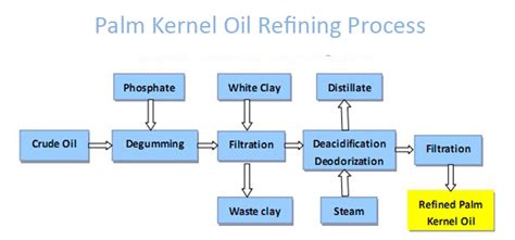 Palm kernel oil production business plan in Nigeria_Industry News