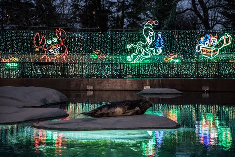 ZooLights Returns to Lincoln Park Zoo