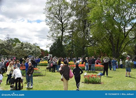 The 2019 Tulip Festival at Washington Park in Albany, New York State Editorial Image - Image of ...