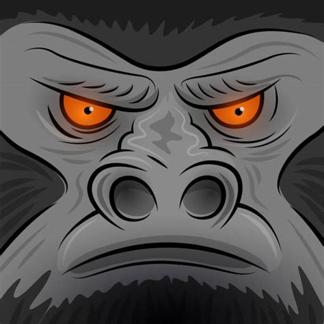 Best Gorilla Eye Illustrations, Royalty-Free Vector Graphics & Clip Art - iStock