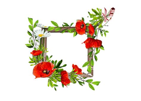 Poppy Flowers Border Clip Art