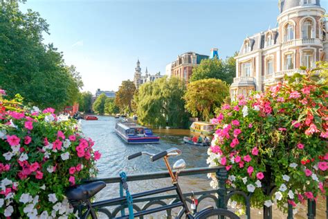 15 Best Amsterdam Canal Cruises - TourScanner