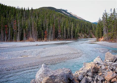 North Saskatchewan River Photograph by Catherine Reading - Pixels