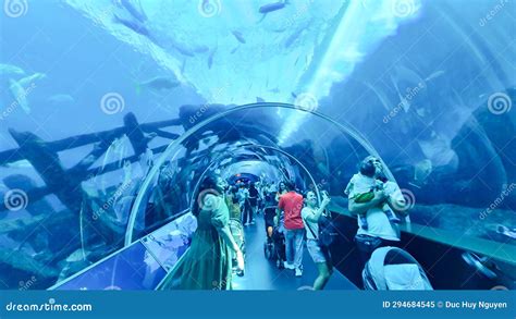 Tourists Inside the Glass Tunnel of S.E.a. Aquarium in Sentosa Island, Singapore. Editorial ...