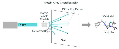 10 X-Rays Uses in Everyday Life – StudiousGuy