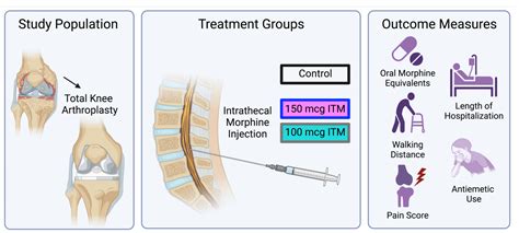 The Dose Comparison of Intrathecal Morphine for Postoperative Analgesia in Total Knee ...