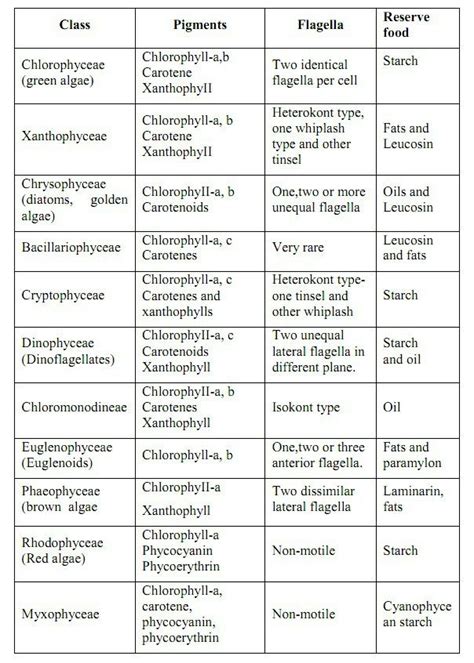 Algae classification