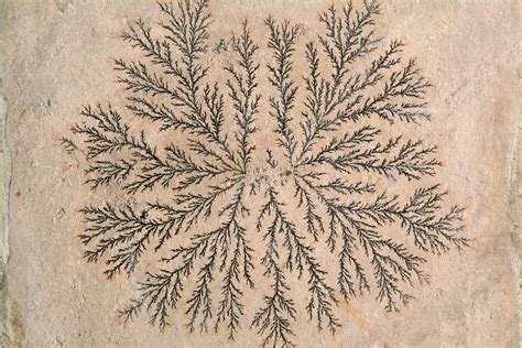 Dendritic patterns in slate - Stock Image - C028/5511 - Science Photo ...