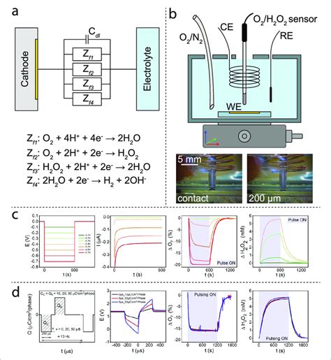 (a) Schematic of capacitive and faradaic charge transfer that can occur ...