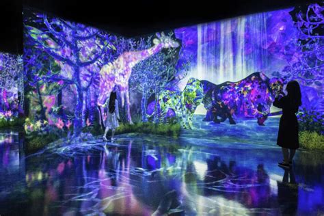 Step Into the Woods of teamLab Forest in Fukuoka - Voyagin Blog in 2021 | Forest, Fukuoka, Earth ...