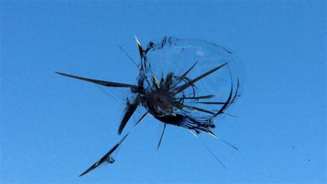 Windshield Repair - North Palm Beach FL | Atlantic Auto Glass