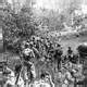 Marines landing on the beach at Iwo Jima, World War II image - Free stock photo - Public Domain ...