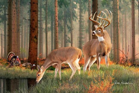 Whitetail Deer Art Print - Quality Time Painting by Dale Kunkel Art | Fine Art America